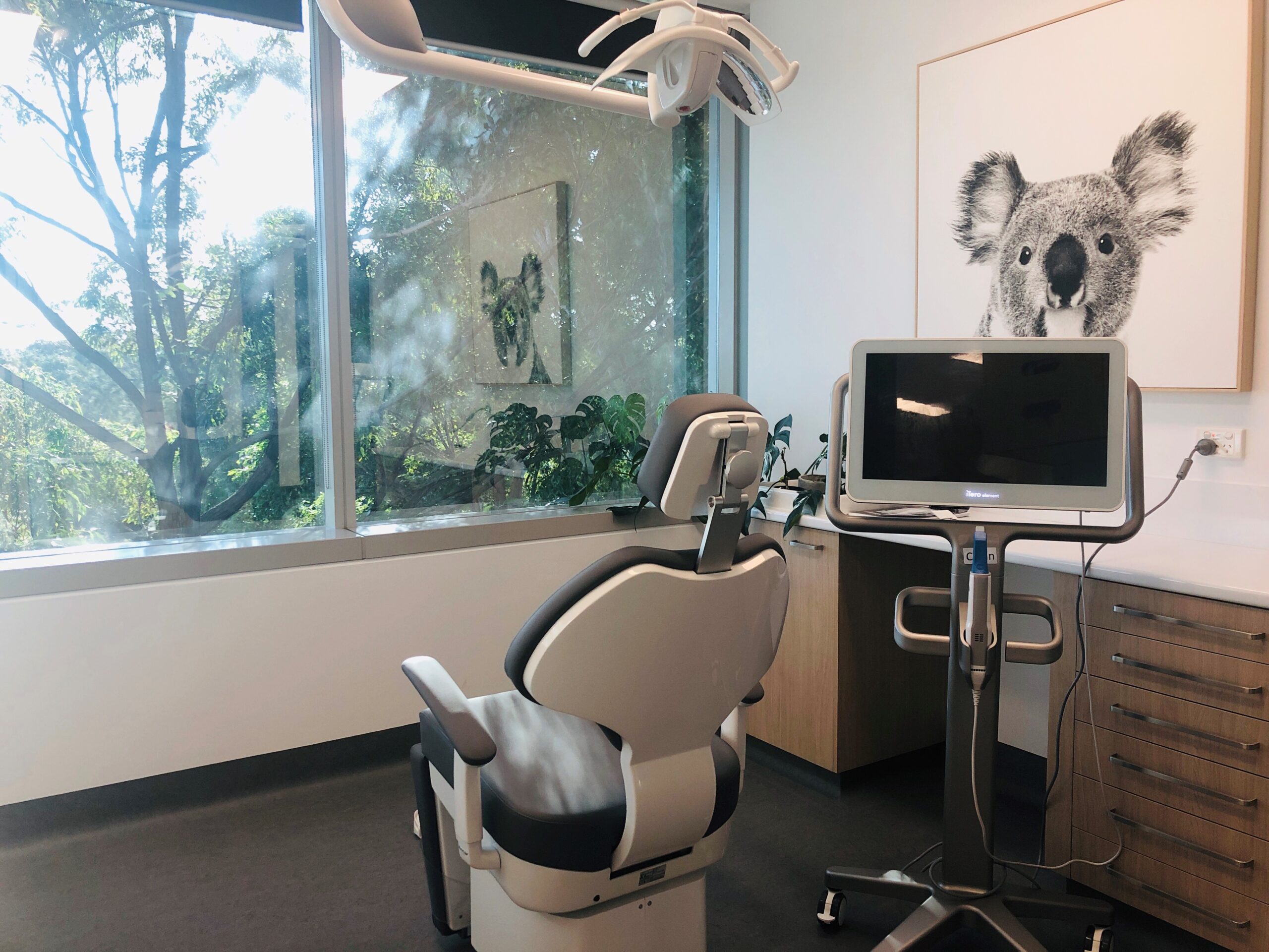 dentist frenchs forest